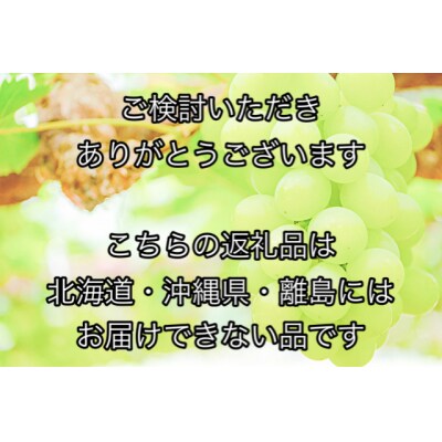 【令和6年発送・先行受付】岡山県産　マスカットオブアレキサンドリア1房　jj-103