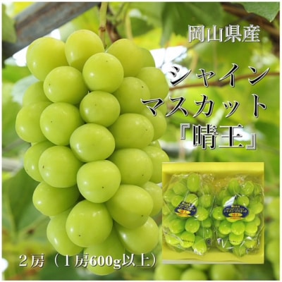 【令和6年発送・先行受付】岡山県産　シャインマスカット　2房　aa-100