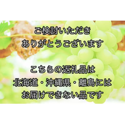 【令和6年発送・先行受付】岡山県産　シャインマスカット1房　jj-100
