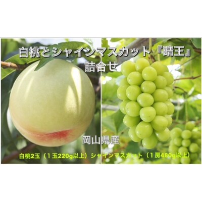 【令和6年発送・先行受付】岡山県産　詰合/白桃2玉・シャインマスカット晴王2房　pp-100