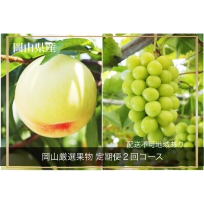 【令和6年発送・先行受付】岡山県産　晴れの国岡山フルーツ7月8月定期便2回　化粧箱入り　Fg-1