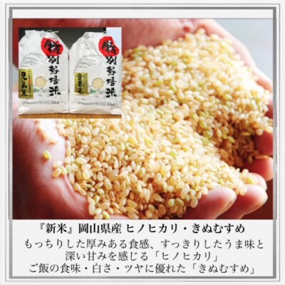 【令和6年発送・先行受付】岡山県産　果物と新米の定期便　全3回コースB　NN-31
