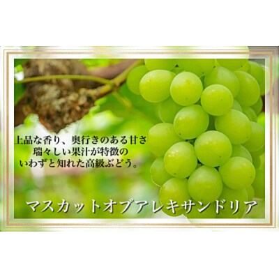 【令和6年発送・先行受付】岡山県産　果物と新米の定期便　全3回コースC　Gg-2