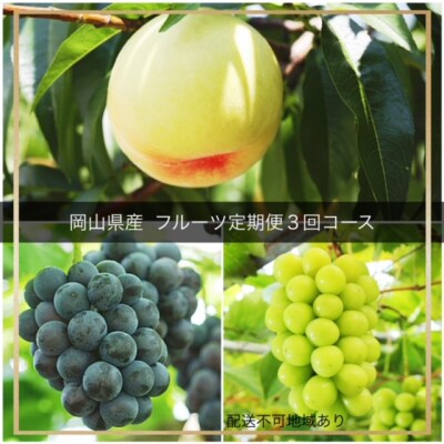 【令和6年発送・先行受付】フルーツ定期便3回コース　NN-33