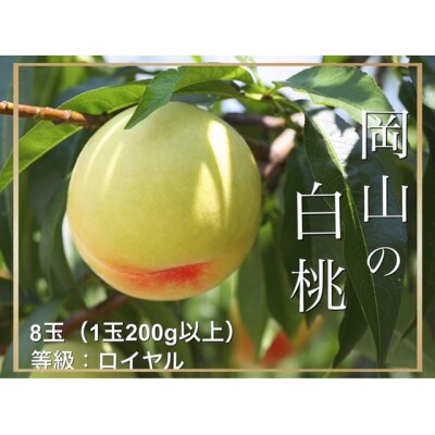 【令和8年発送・先行受付】岡山県産　白桃(1玉200g以上)8玉　等級ロイヤル　化粧箱入り　Fg-2