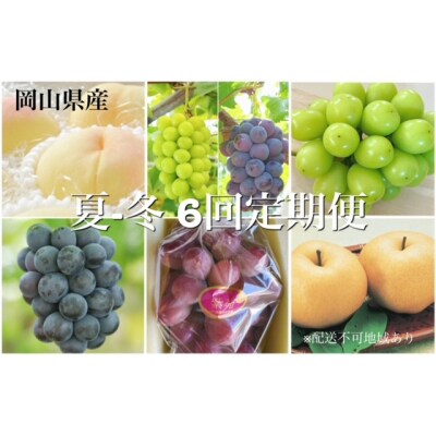 【令和6年発送・先行受付】岡山県産　晴れの国岡山フルーツ7~12月定期便6回　化粧箱入りB　WW-6