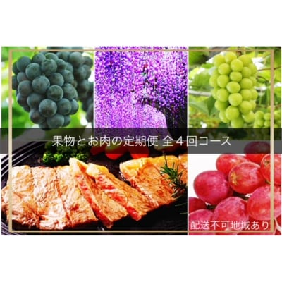 【令和6年発送・先行予約】果物とお肉の定期便　全4回コース　vv-107