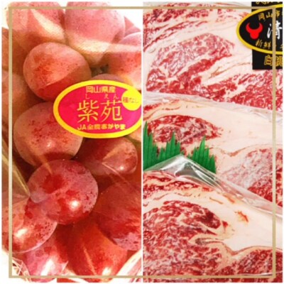 【令和6年発送・先行予約】果物とお肉の定期便　全4回コース　vv-107