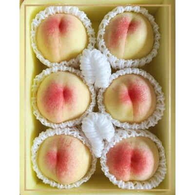 【先行受付】岡山県産　白桃(1玉250g以上)6玉　等級ロイヤル　化粧箱入り　Gj-1