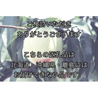 【先行受付】岡山県産　白桃(1玉250g以上)6玉　等級ロイヤル　化粧箱入り　Gj-1