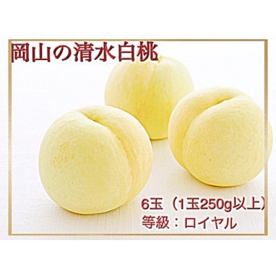 【令和8年発送・先行受付】岡山県産　清水白桃(1玉250g以上)6玉　ロイヤル　化粧箱入り　Hz-1