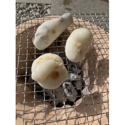 橋本農園(さとや)白もちセット　CS-5