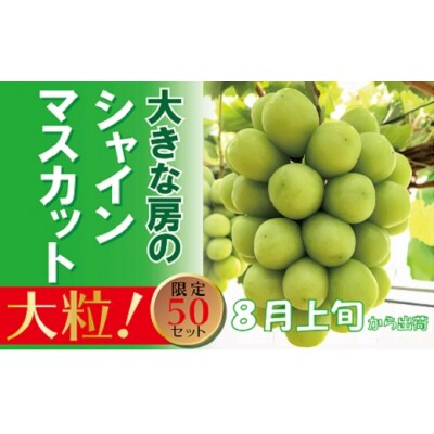【贈答用】　福原農園　岡山のあま～い「シャインマスカット」　1房(大房) BS-15