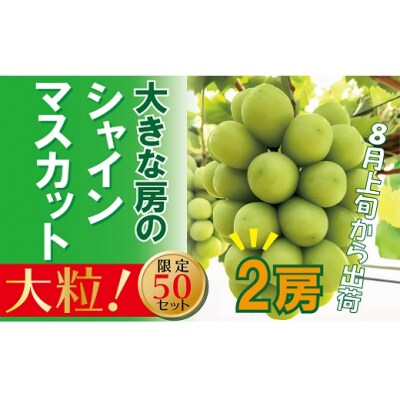 【贈答用】　福原農園　岡山のあま～い「シャインマスカット」　2房(大房)pp-58