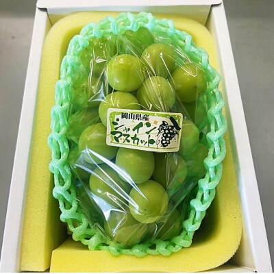 岡山県産 シャインマスカット「晴王」1房(600g以上)※推し武道箱入り yy-28
