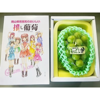 岡山県産 シャインマスカット「晴王」1房(600g以上)※推し武道箱入り yy-28
