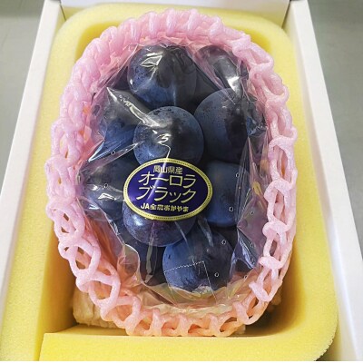 岡山県産 オーロラブラック1房(600g以上)※推し武道箱入り SS-124
