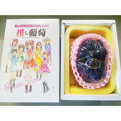 岡山県産 オーロラブラック1房(600g以上)※推し武道箱入り SS-124
