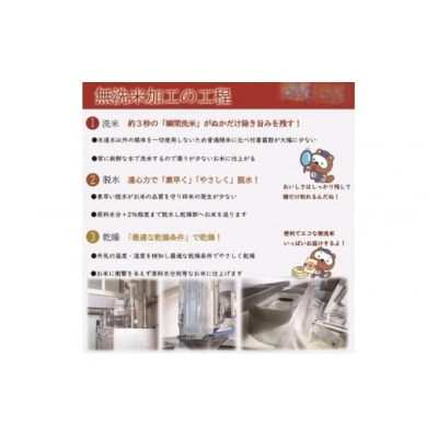 お米　【無洗米】岡山県産こしひかり100%(令和6年産)5kg　zz-121