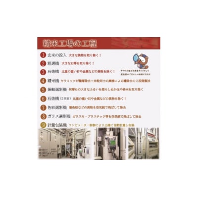 お米　【無洗米】岡山県産きぬむすめ100%(令和6年産)5kg　CC-119