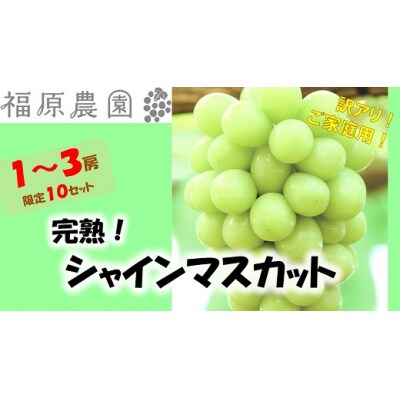 岡山のあまーい「シャインマスカット(ご家庭用)」　1～3房　CC-34