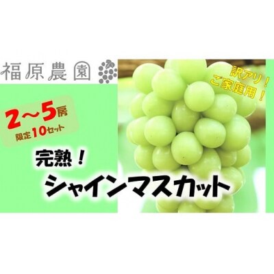 岡山のあまーい「シャインマスカット(ご家庭用)」　2～5房　TT-102