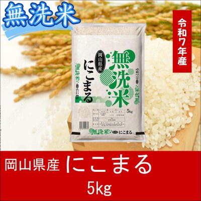 お米　【無洗米】　【令和7年産】　岡山県産　にこまる100%　5kg　上-15