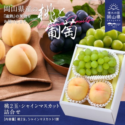 【令和8年発送】桃・シャインマスカット詰合せ EE-66