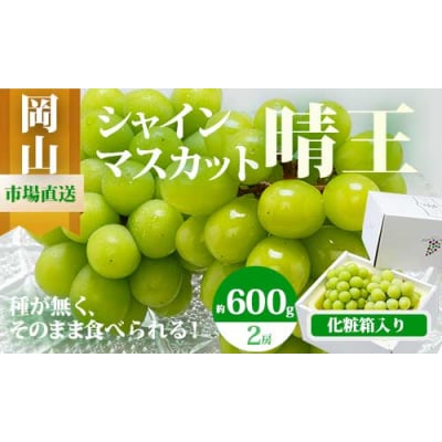 【令和8年発送・先行受付】岡山県産　シャインマスカット　晴王　2房　ZZ-18