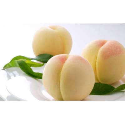 【令和8年発送】ご家庭用岡山白桃(早生)BS-21