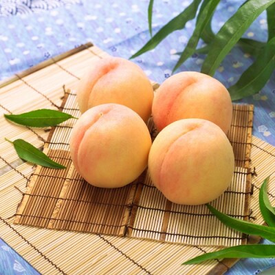 【令和7年発送】　岡山県産　岡山白桃　4〜5玉(約1.0kg)DD-88
