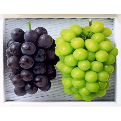 【先行予約】　岡山県産　秋の種無しぶどう詰め合わせ(約1.2kg)環-13