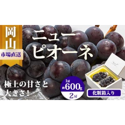 【令和8年発送・先行受付】岡山県産　ニューピオーネ(1房600g以上)2房　化粧箱入り　EE-64