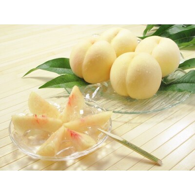 【令和7年発送】　岡山県産　岡山白桃5～7玉(2)(約1.5kg)jj-106