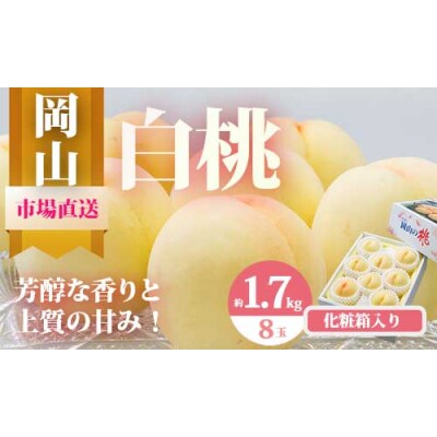 【令和7年発送・先行受付】岡山県産　白桃8玉(合計1.7kg以上)　pp-60