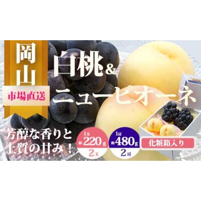【令和7年発送・先行受付】岡山県産　詰合/白桃　2玉・ニューピオーネ　2房　ZZ-19
