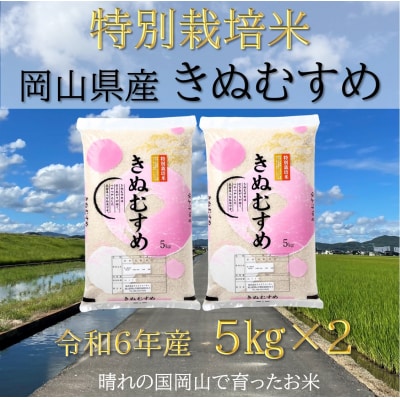 【お米　特別栽培米　特Aランク】岡山県産「きぬむすめ」10kg(令和6年産)Cz-17