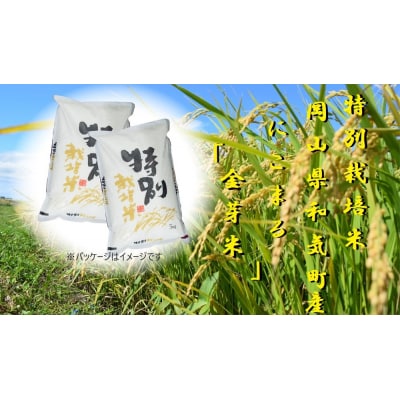 【特別栽培米】岡山県和気町産「にこまる(金芽米)」10kg(令和6年産)Ez-5