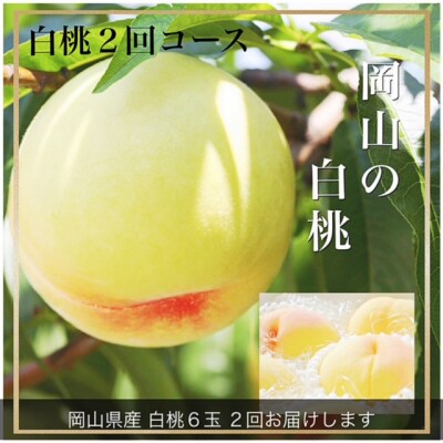 【先行受付】白桃2回お届けコースA　If-2