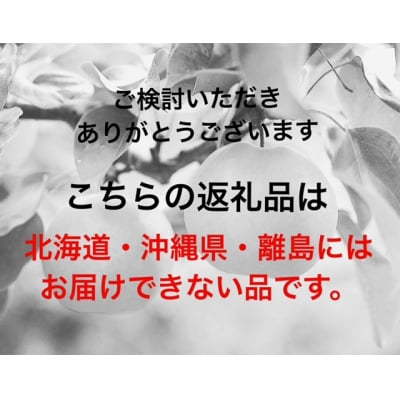 【先行受付】シャインマスカット『晴王』全3回　NN-36