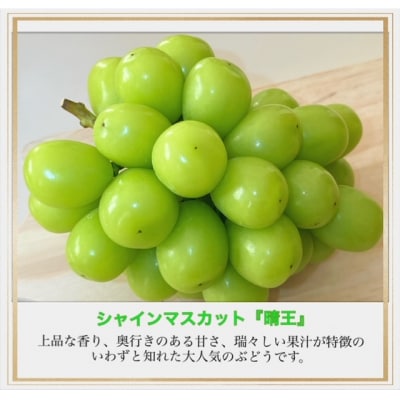 【令和8年発送・先行受付】シャインマスカット『晴王』全2回　HH-15