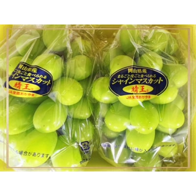 【令和8年発送・先行受付】シャインマスカット『晴王』全2回　HH-15