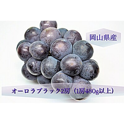 【先行受付】岡山県産 オーロラブラック2房(1房480g以上)BS-20