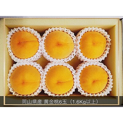 【令和8年発送・先行受付】岡山県産 黄金桃 6玉(合計1.6kg以上)Cz-11