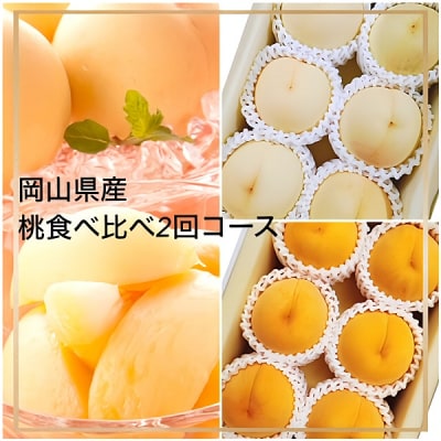 【令和8年発送・先行受付】岡山県産 桃食べ比べ全2回コース　Fg-8