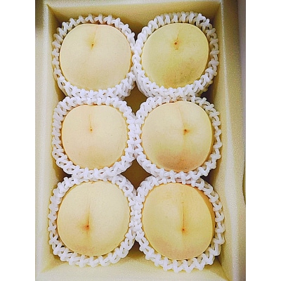 【令和8年発送・先行受付】岡山県産 桃食べ比べ全2回コース　Fg-8