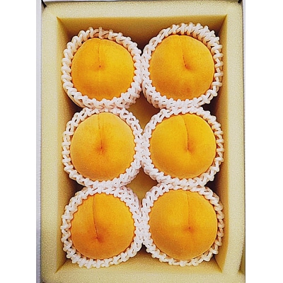 【令和8年発送・先行受付】岡山県産 桃食べ比べ全2回コース　Fg-8