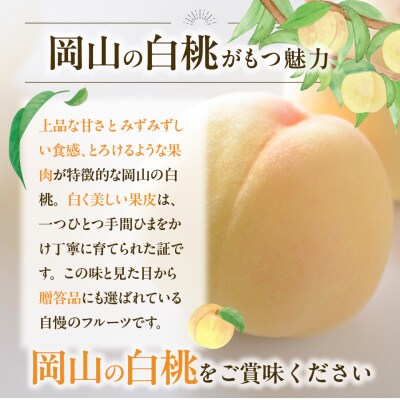 白桃 シャインマスカット 晴王 約1.2kg 桃2玉 ぶどう1房 CT-7