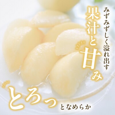 【2027年発送】白桃 特秀 ロイヤル 中玉 約1.5kg 5-7玉　土-15
