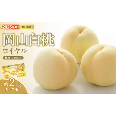白桃 特秀 ロイヤル 大玉 約2kg 5-7玉　rr-101